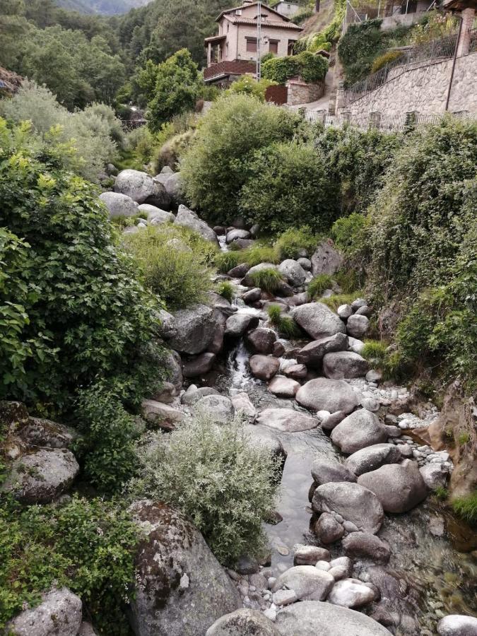 La Estrella De Gredos *